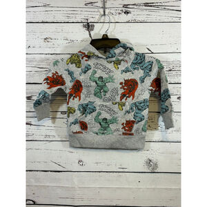 Boys Unbranded Hoodie Size 2T Gray Multi-color